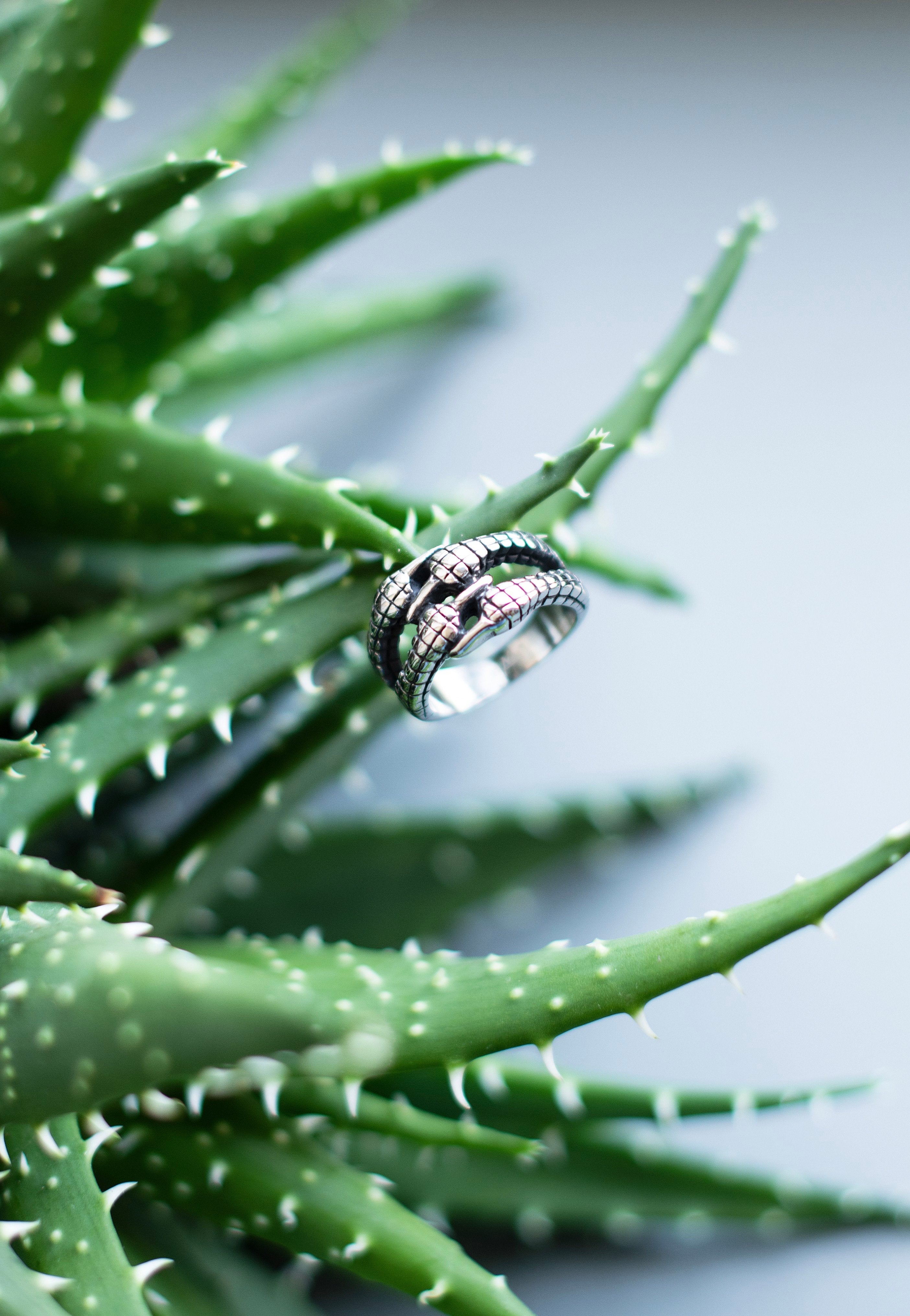 etNox - Claw Silver - Ring | Neutral-Image