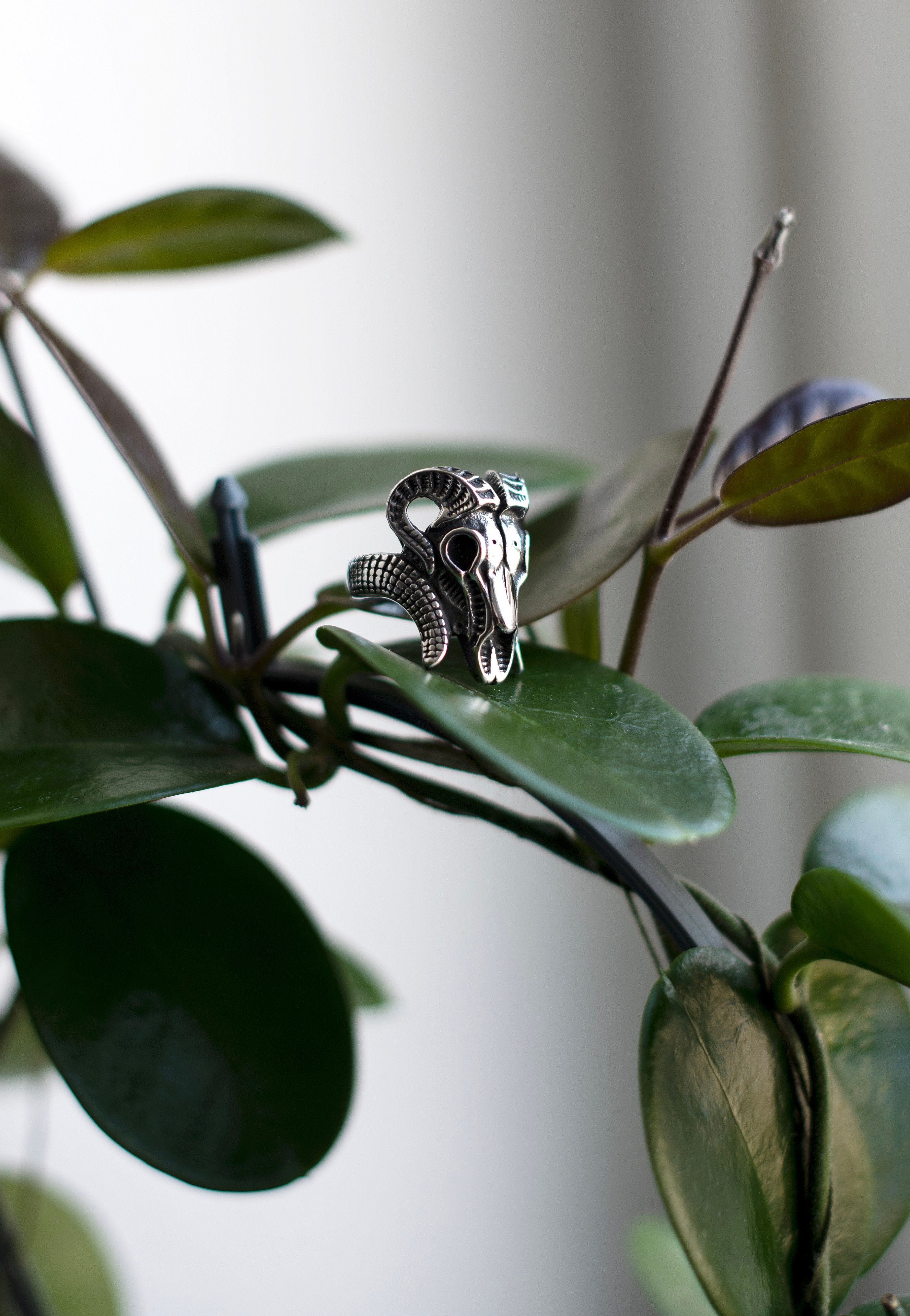 etNox - Ram Head Silver - Ring | Neutral-Image