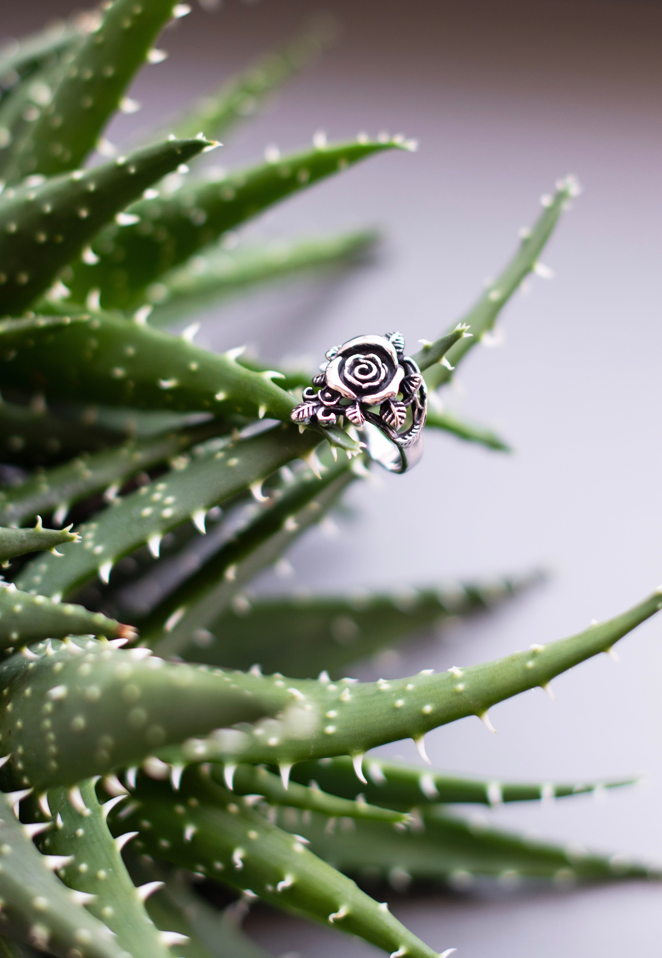 etNox - Small Rose Silver - Ring | Neutral-Image