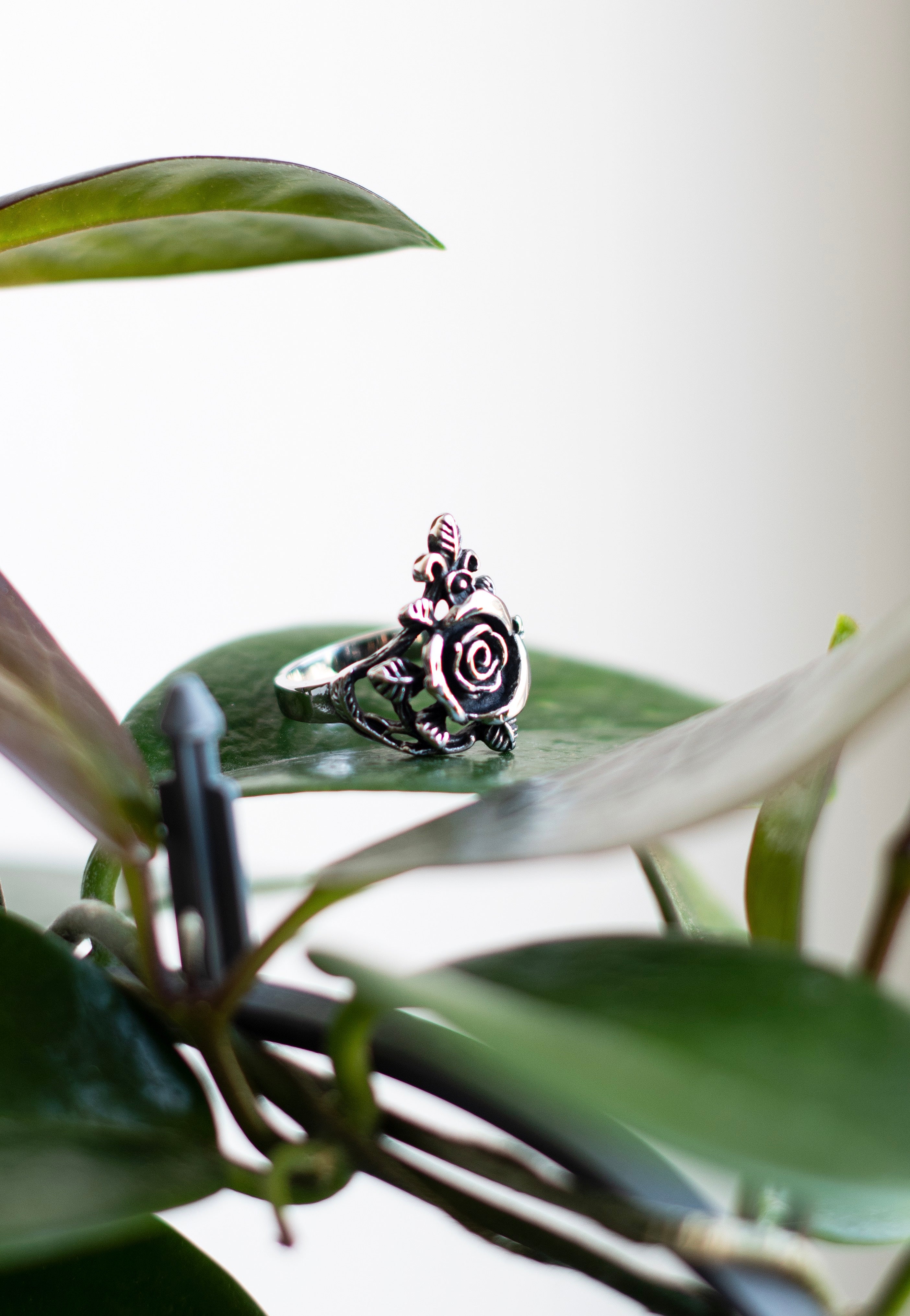 etNox - Small Rose Silver - Ring | Neutral-Image