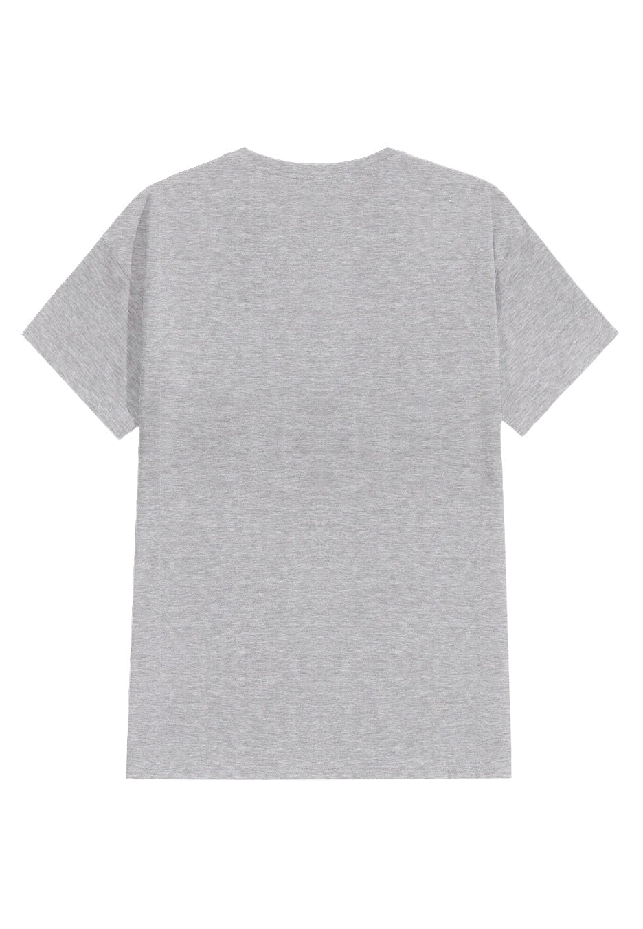 Foo Fighters - Nothing Left To Lose Heather Grey - T-Shirt | Neutral-Image