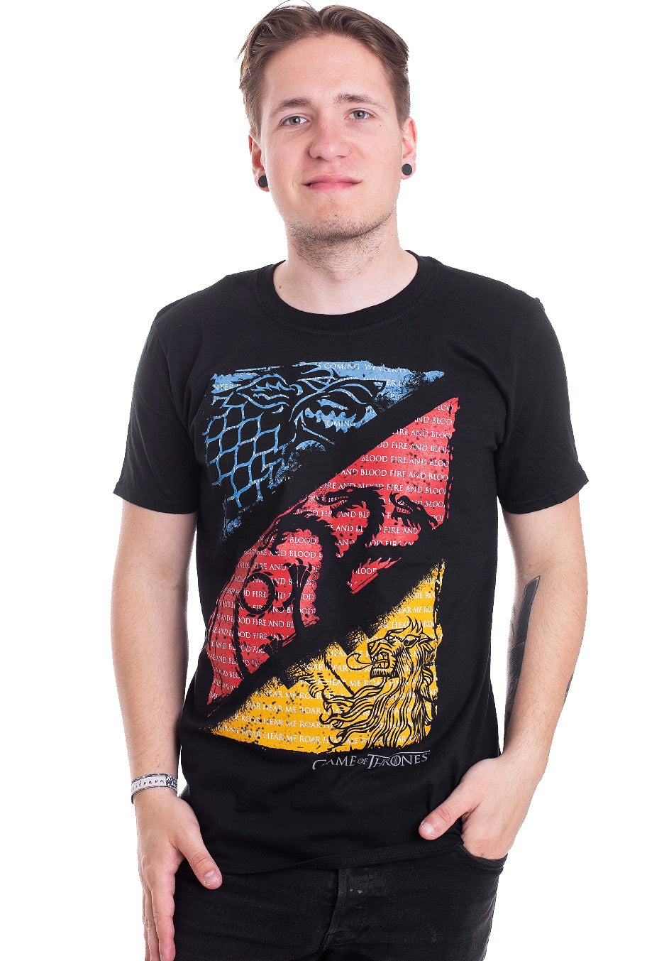 Game Of Thrones - Diagonal Sigils - T-Shirt | Men-Image