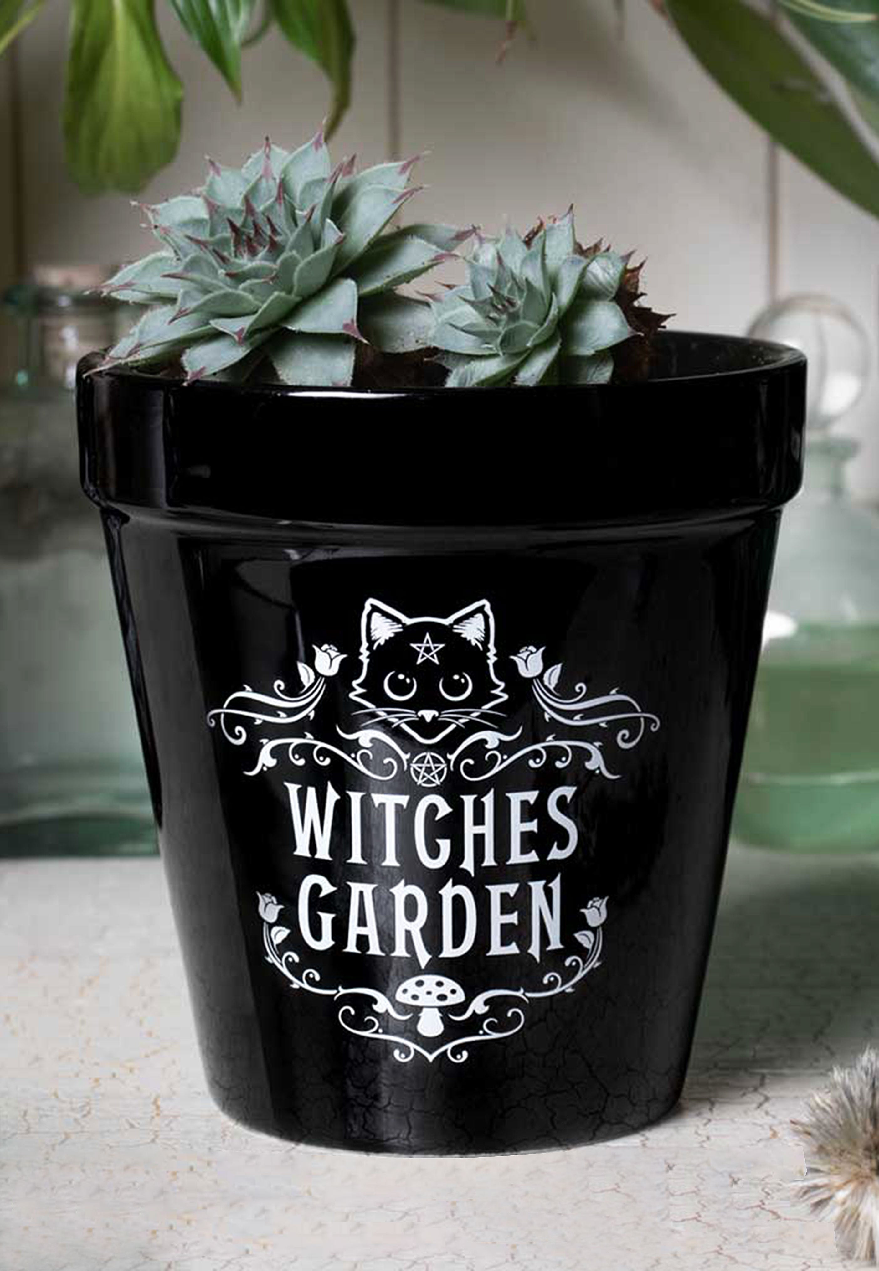 Alchemy England - Witches Garden - Plant Pot | Neutral-Image