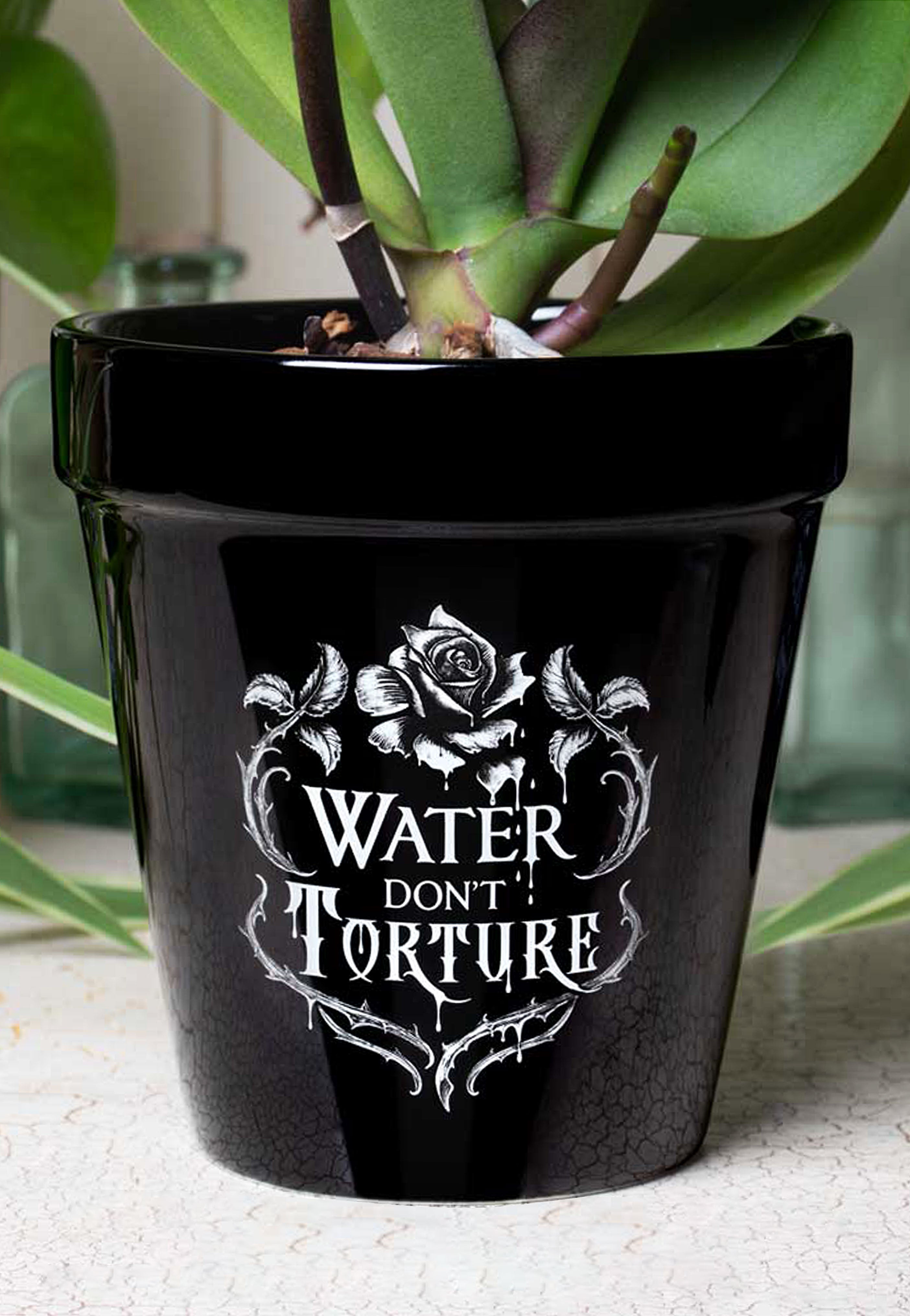 Alchemy England - Water Don´t Torture - Plant Pot | Neutral-Image