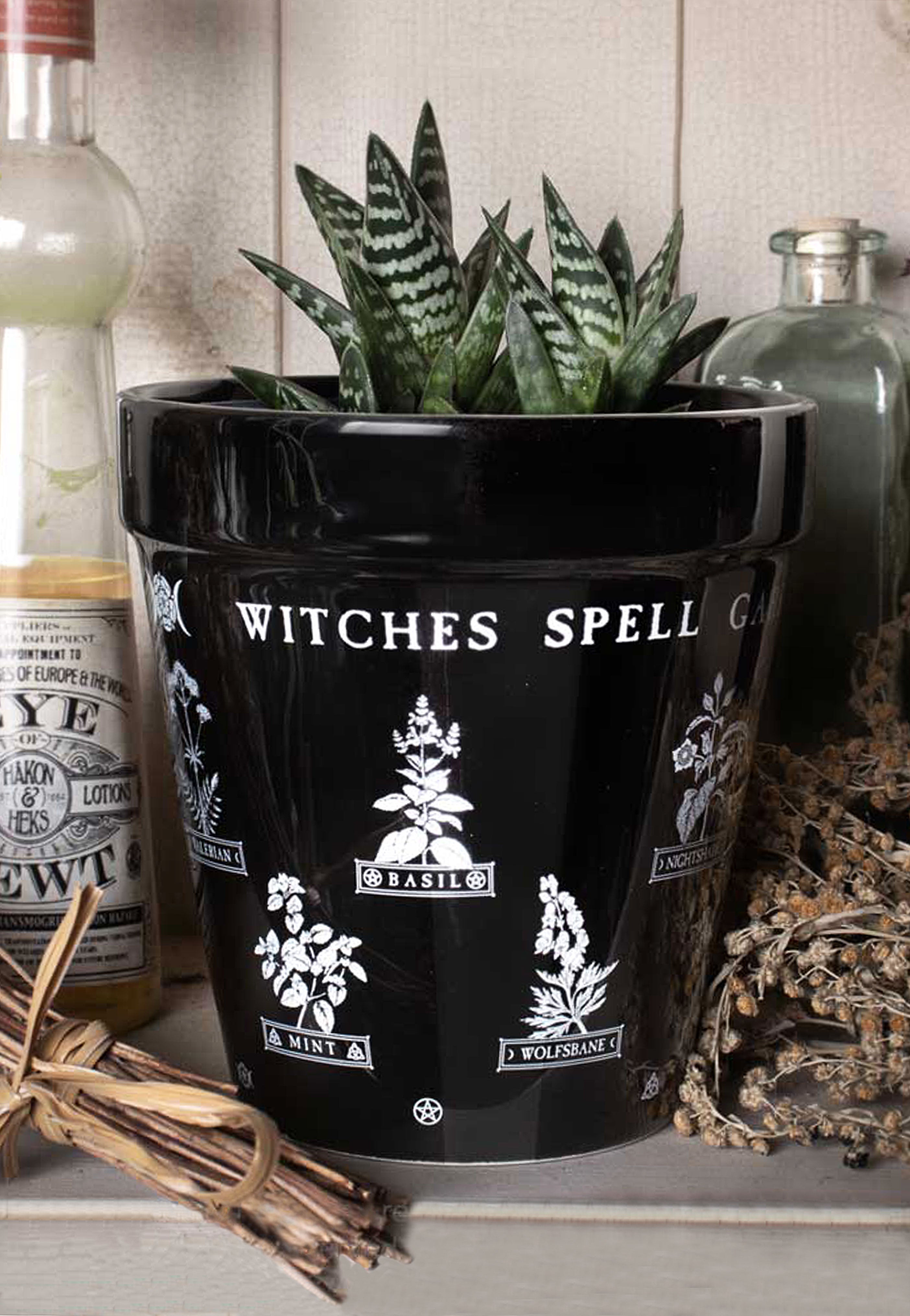 Alchemy England - Witches Spell Garden - Plant Pot | Neutral-Image