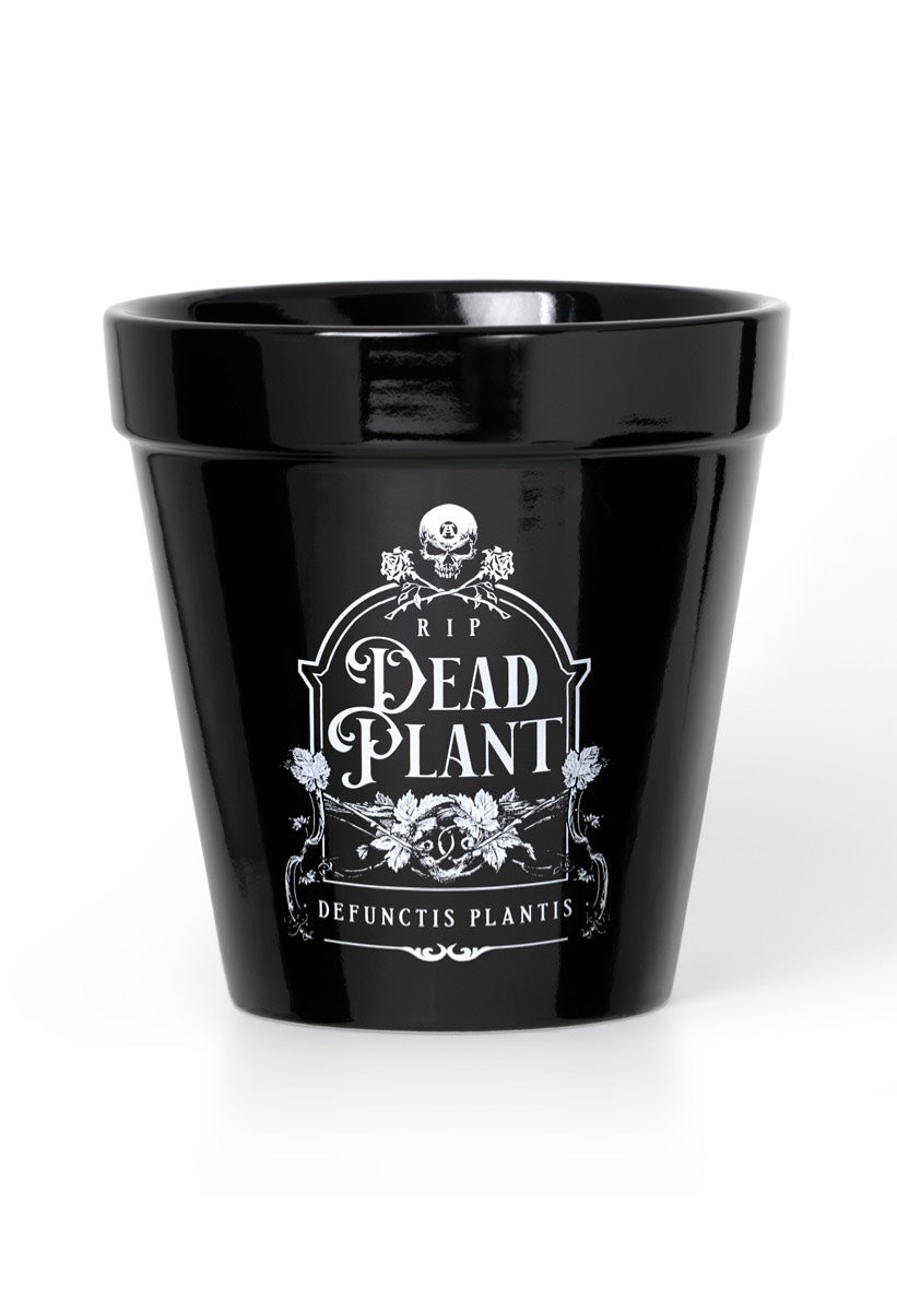 Alchemy England - Dead Plant - Plant Pot | Neutral-Image