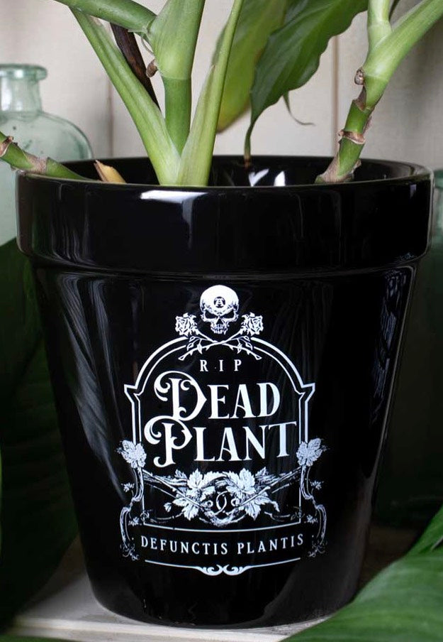 Alchemy England - Dead Plant - Plant Pot | Neutral-Image