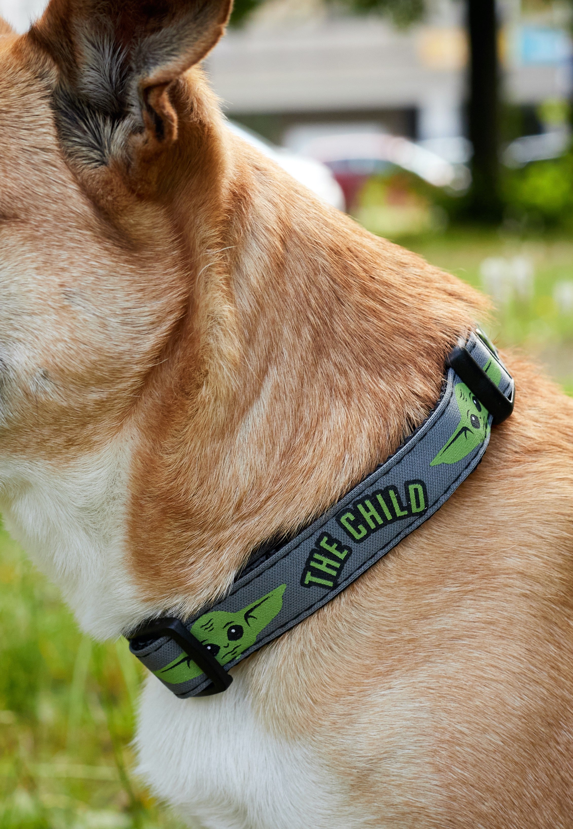 The Mandalorian - The Child - Dog Collar | Neutral-Image