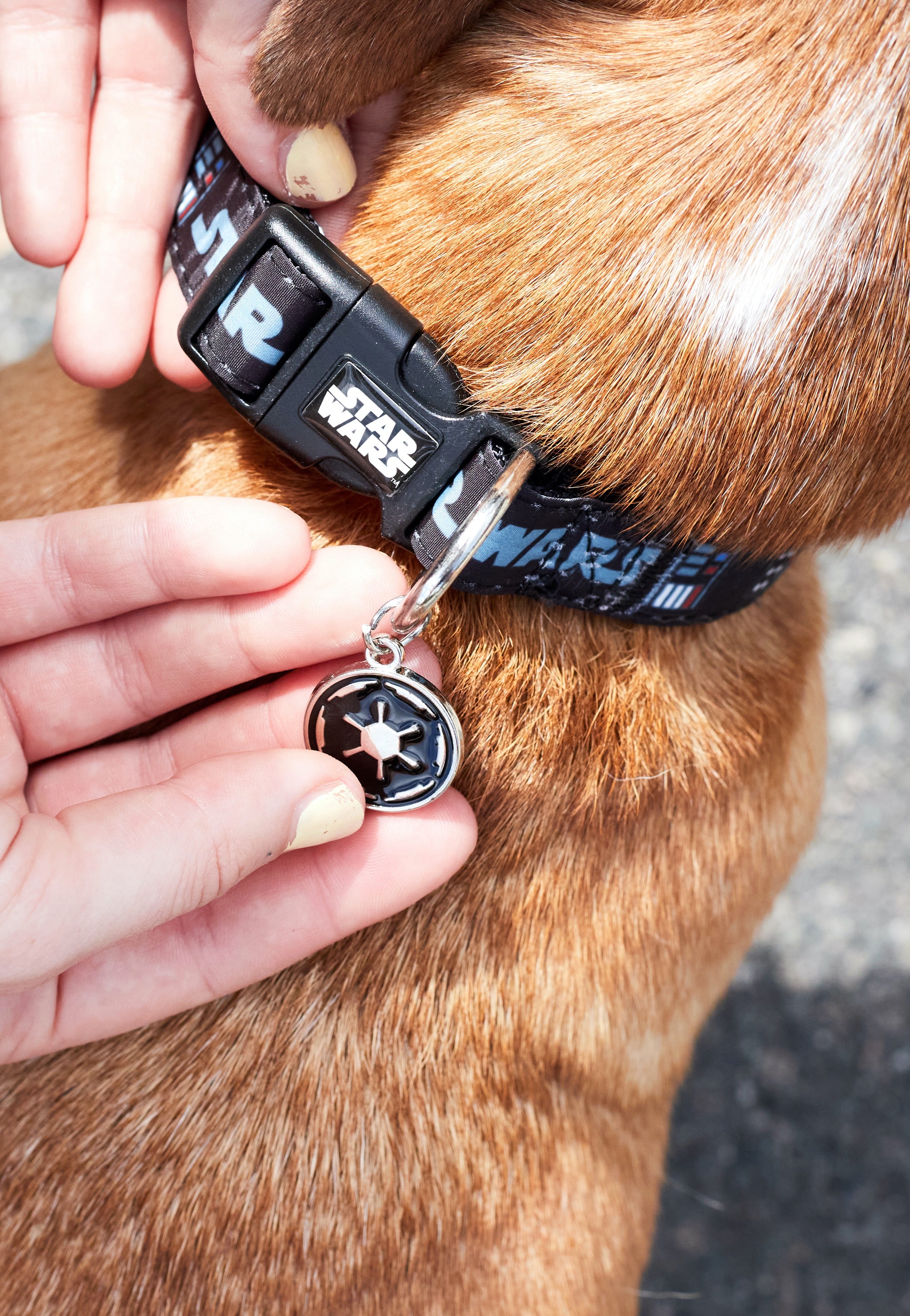 Star Wars - Darth Vader - Dog Collar | Neutral-Image