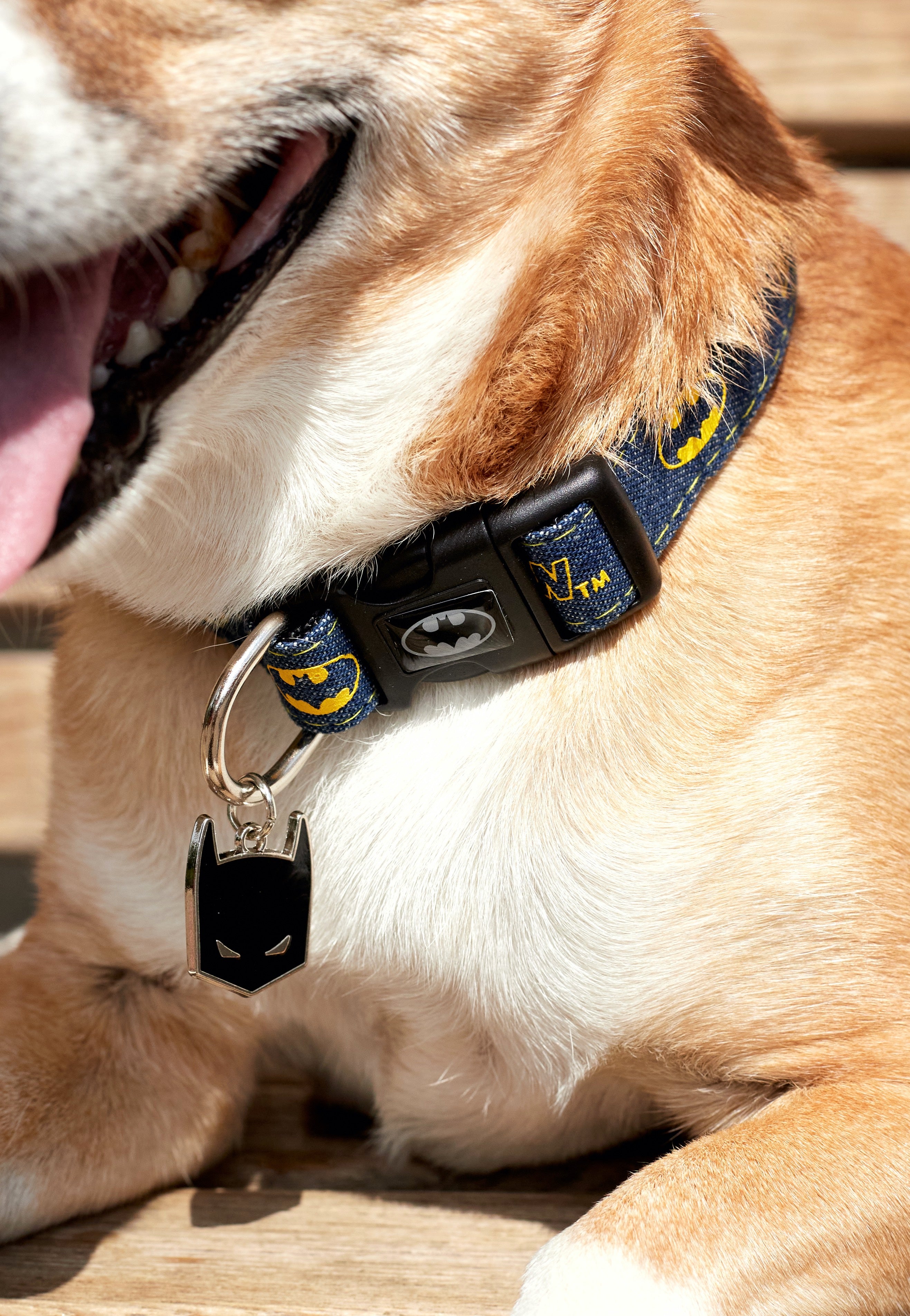 Batman - Batman - Dog Collar | Neutral-Image