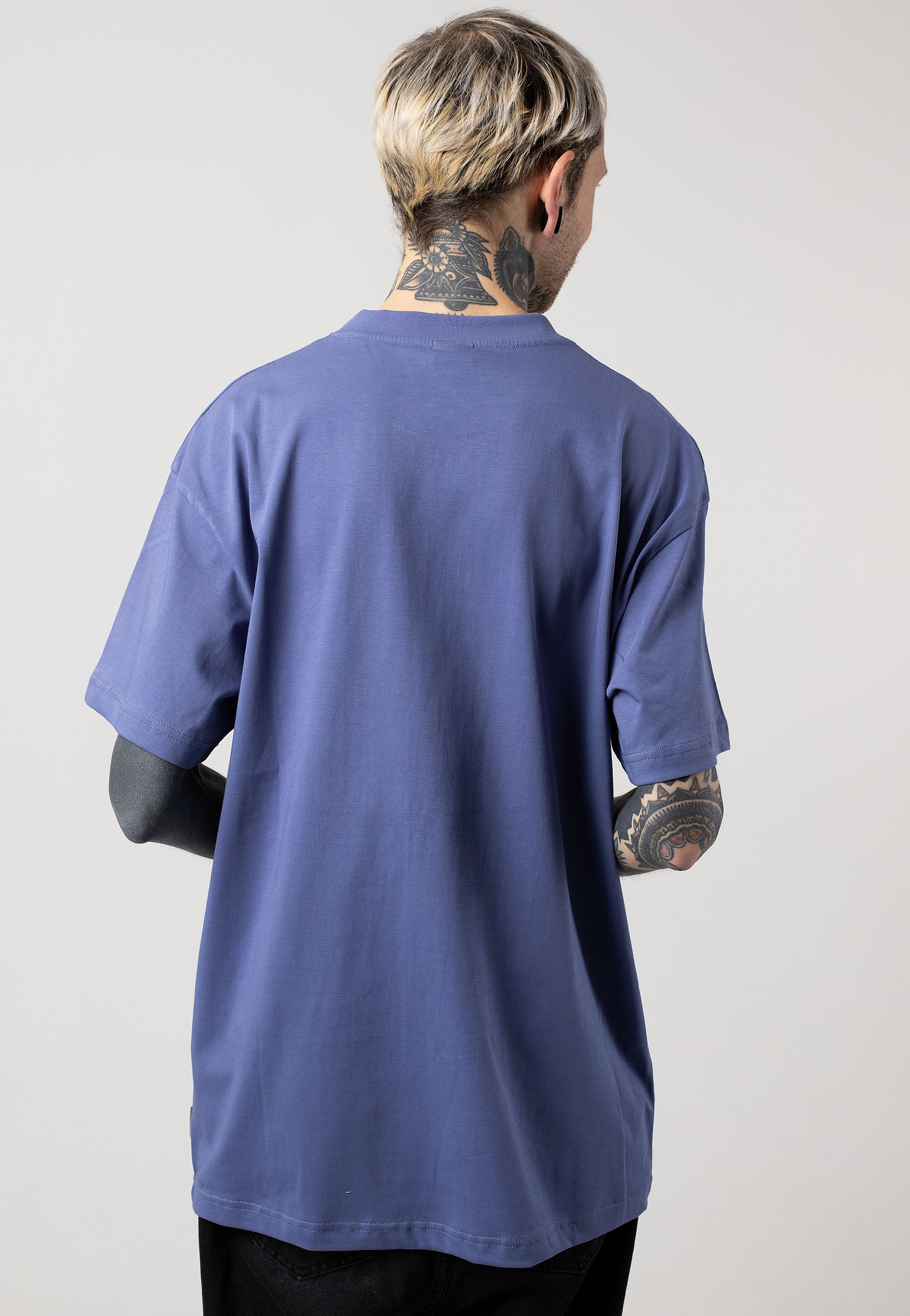 Iriedaily - Mini Flag Relaxed Dove Blue - T-Shirt | Men-Image