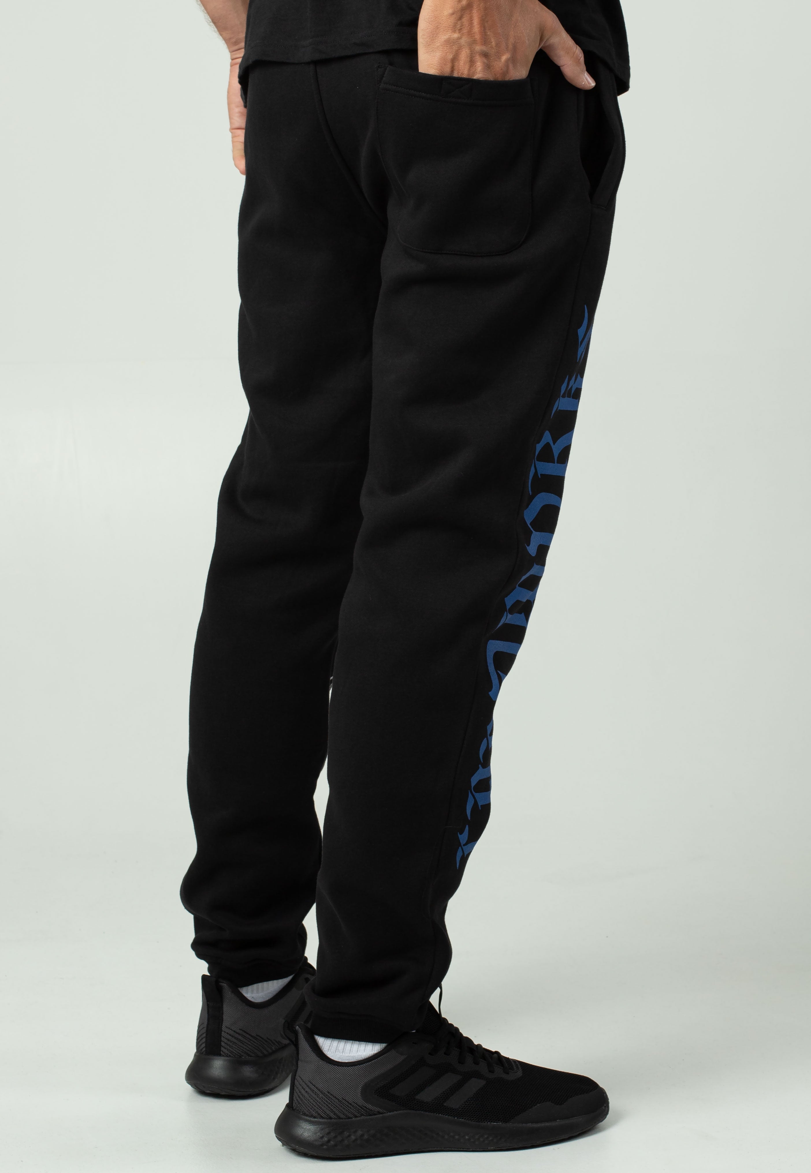 Landmvrks - Stacked Cicadas - Sweatpants | Men-Image