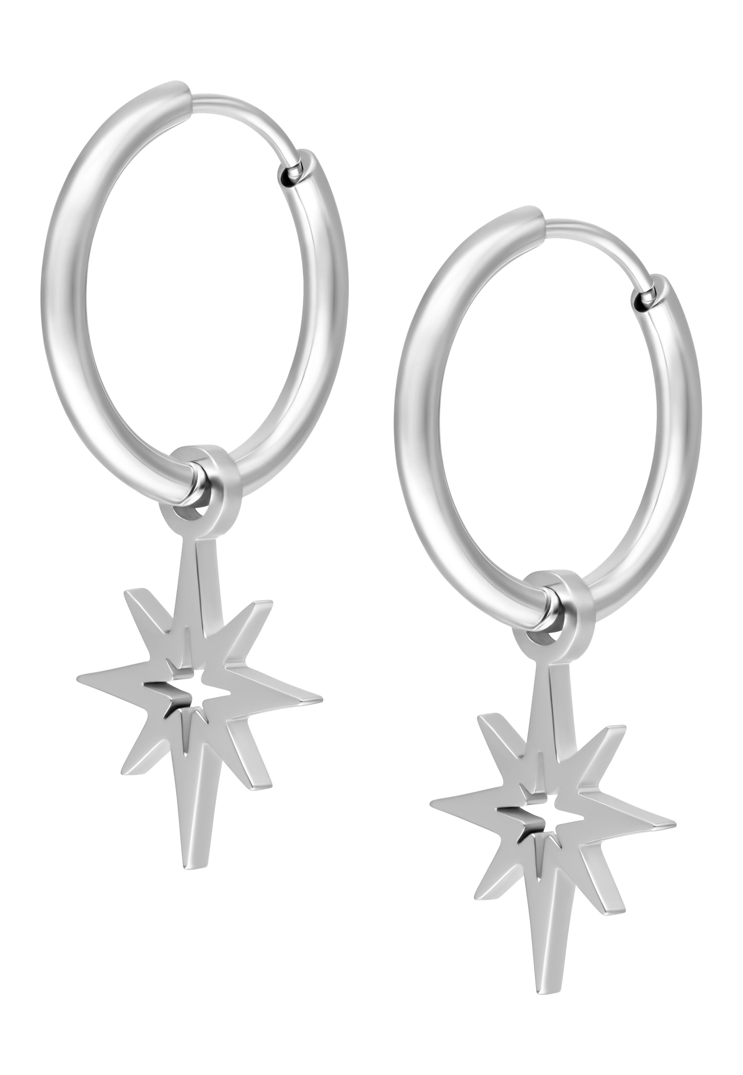 Wildcat - Little Polar Star Silver - Earrings | Neutral-Image