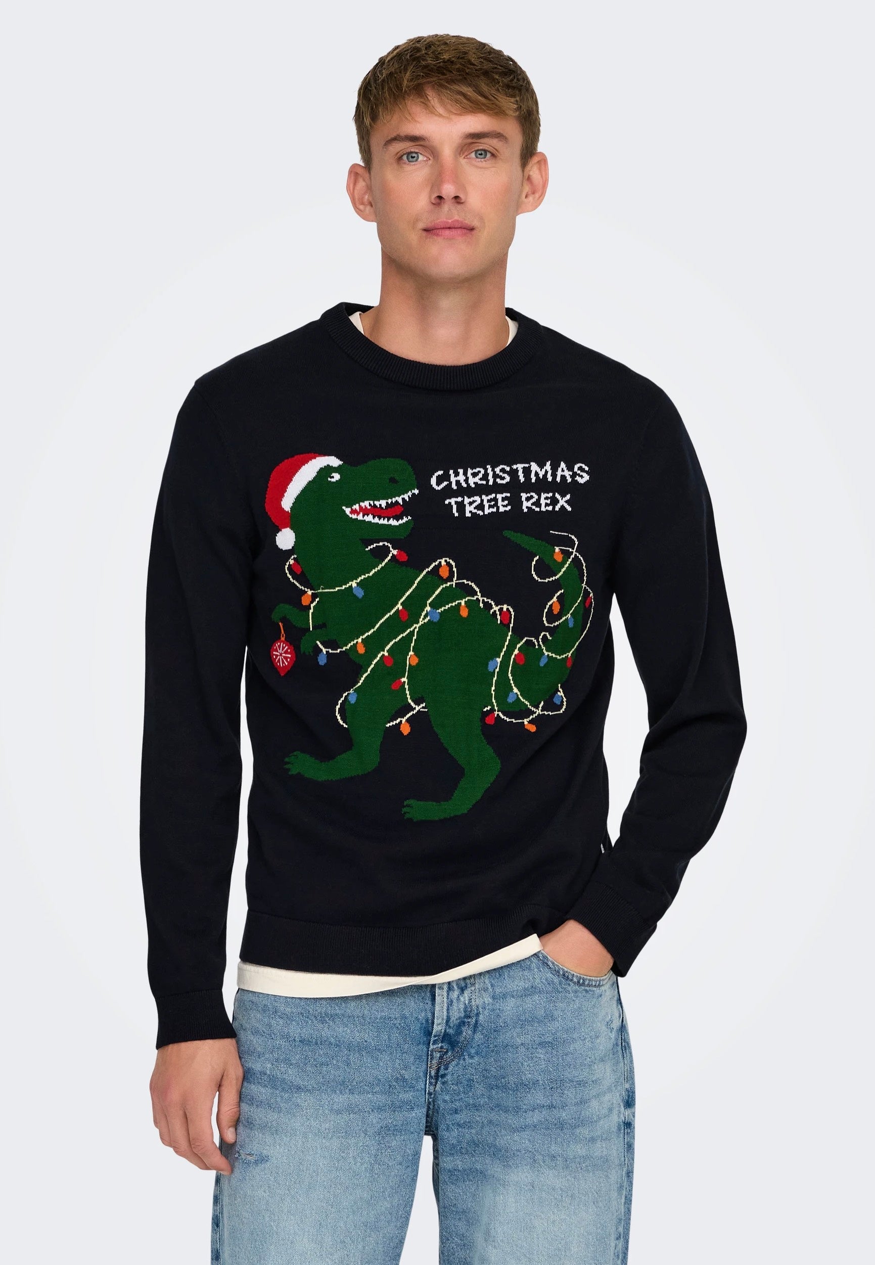 Only & Sons - Xmas Reg 5 Placement Dark Navy T-Rex - Pullover | Men-Image