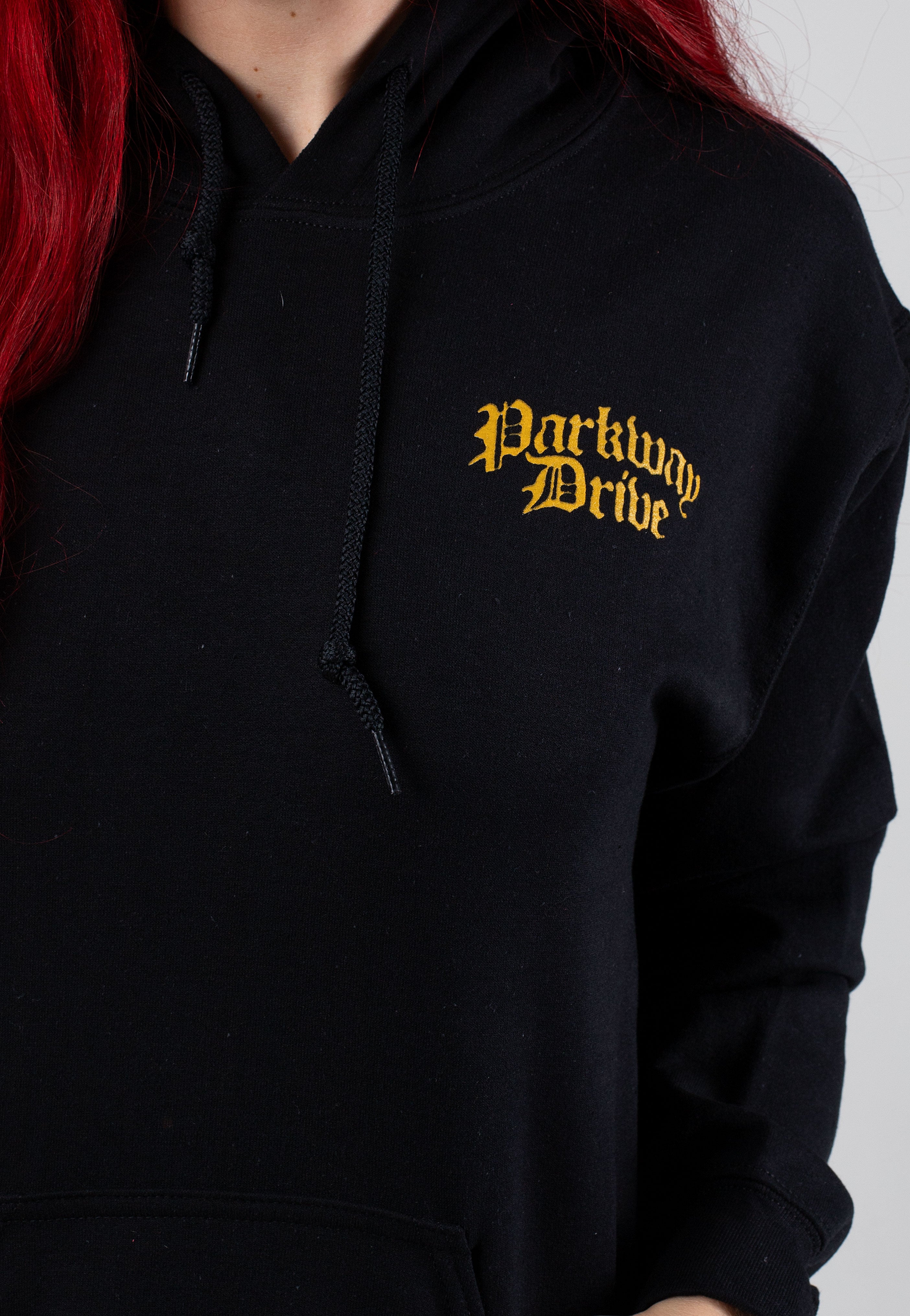 Parkway Drive - Blood Stained Memories - Hoodie | Women-Image