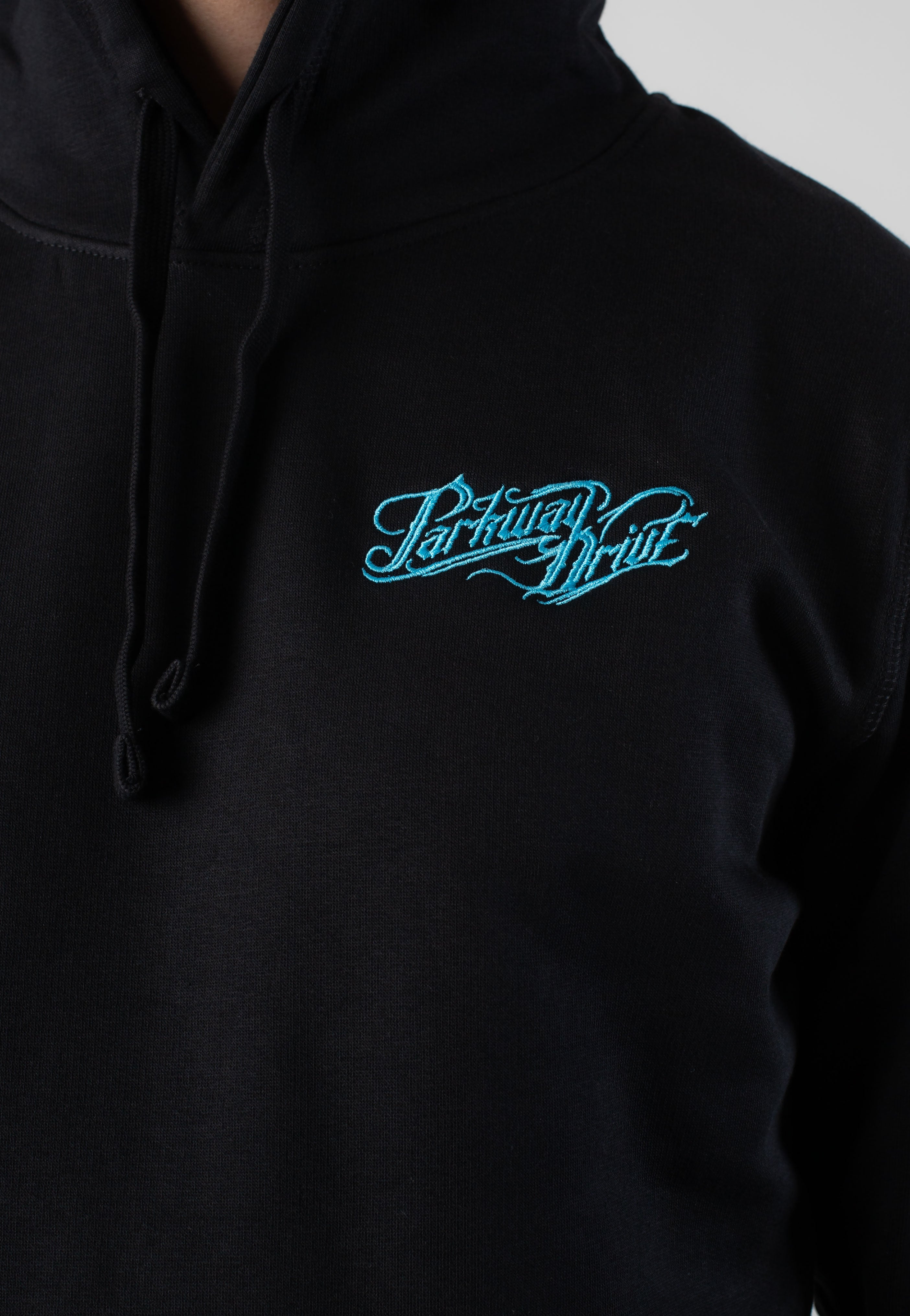 Parkway Drive - Embroidered Logo - Hoodie | Men-Image