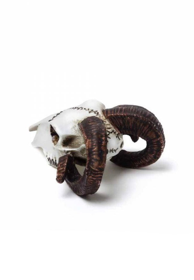 Alchemy England - Rams Skull Miniature - Statue | Neutral-Image