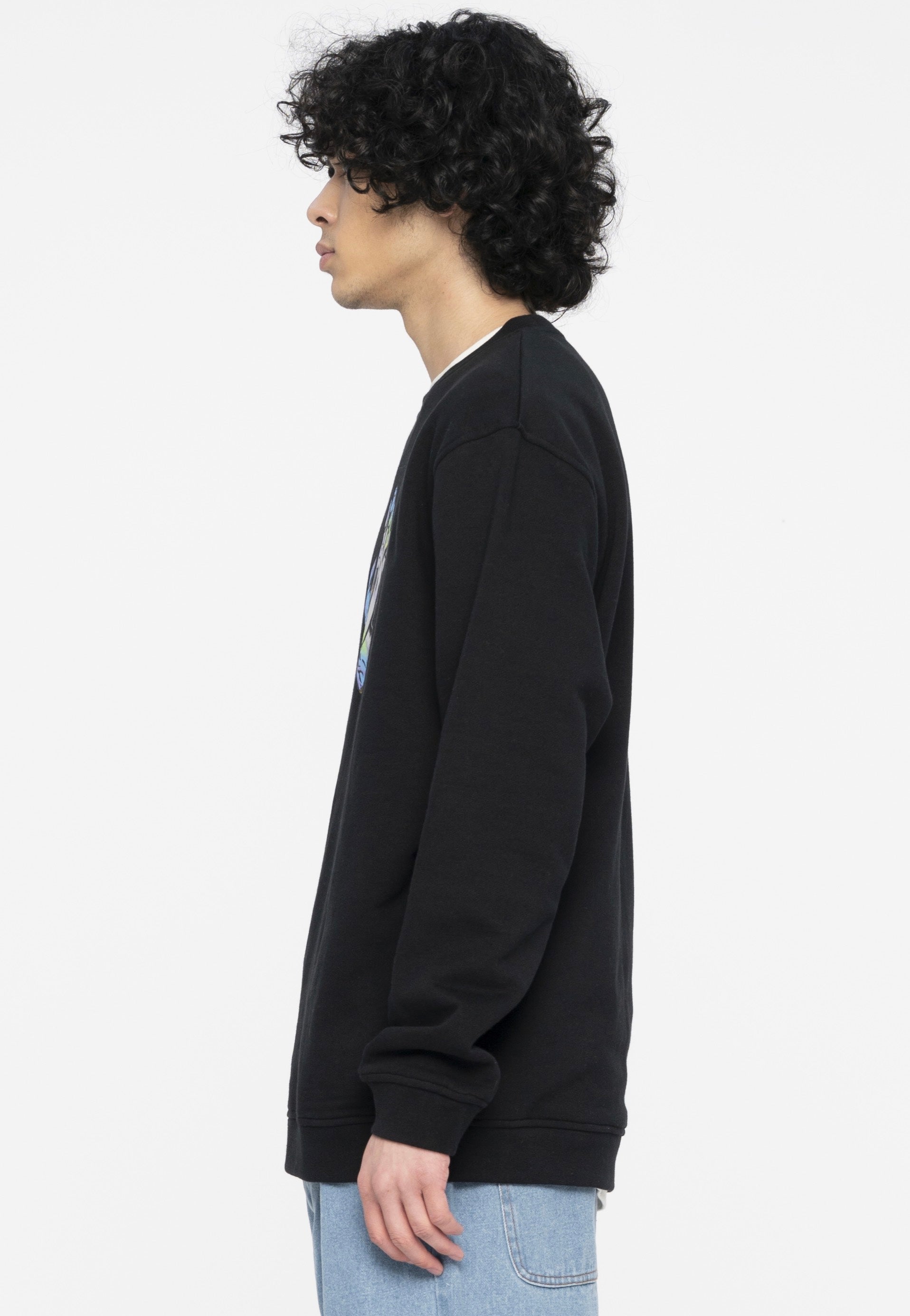 Santa Cruz - Holo Screaming Hand Front Black - Sweater | Men-Image