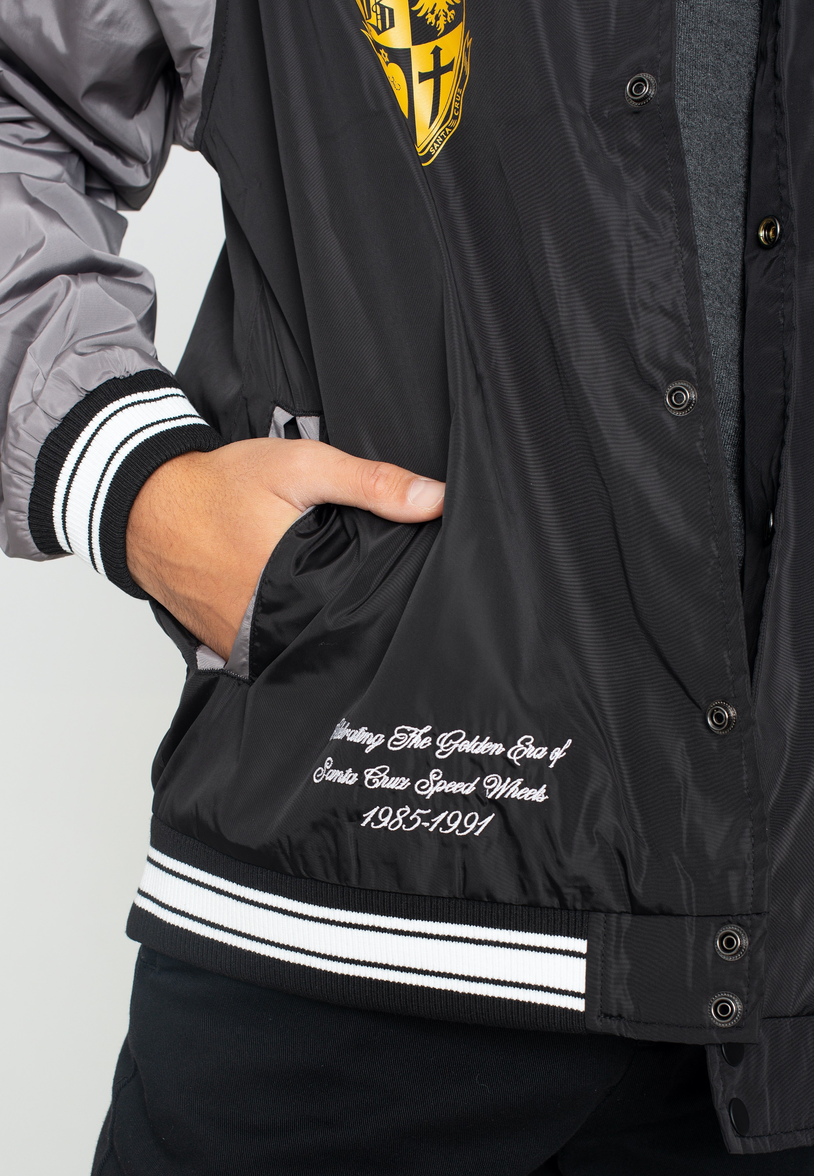 Santa Cruz - SW Celebration Black/Grey - Jacket | Men-Image