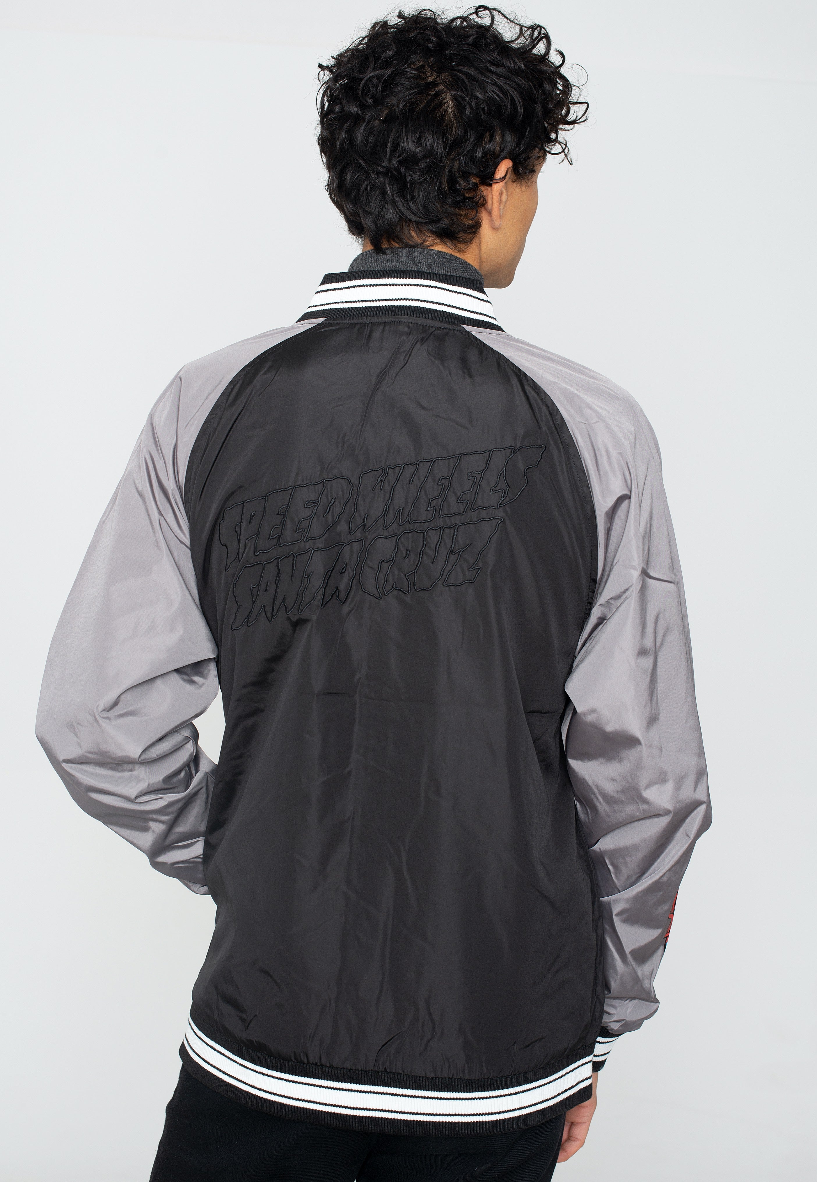 Santa Cruz - SW Celebration Black/Grey - Jacket | Men-Image