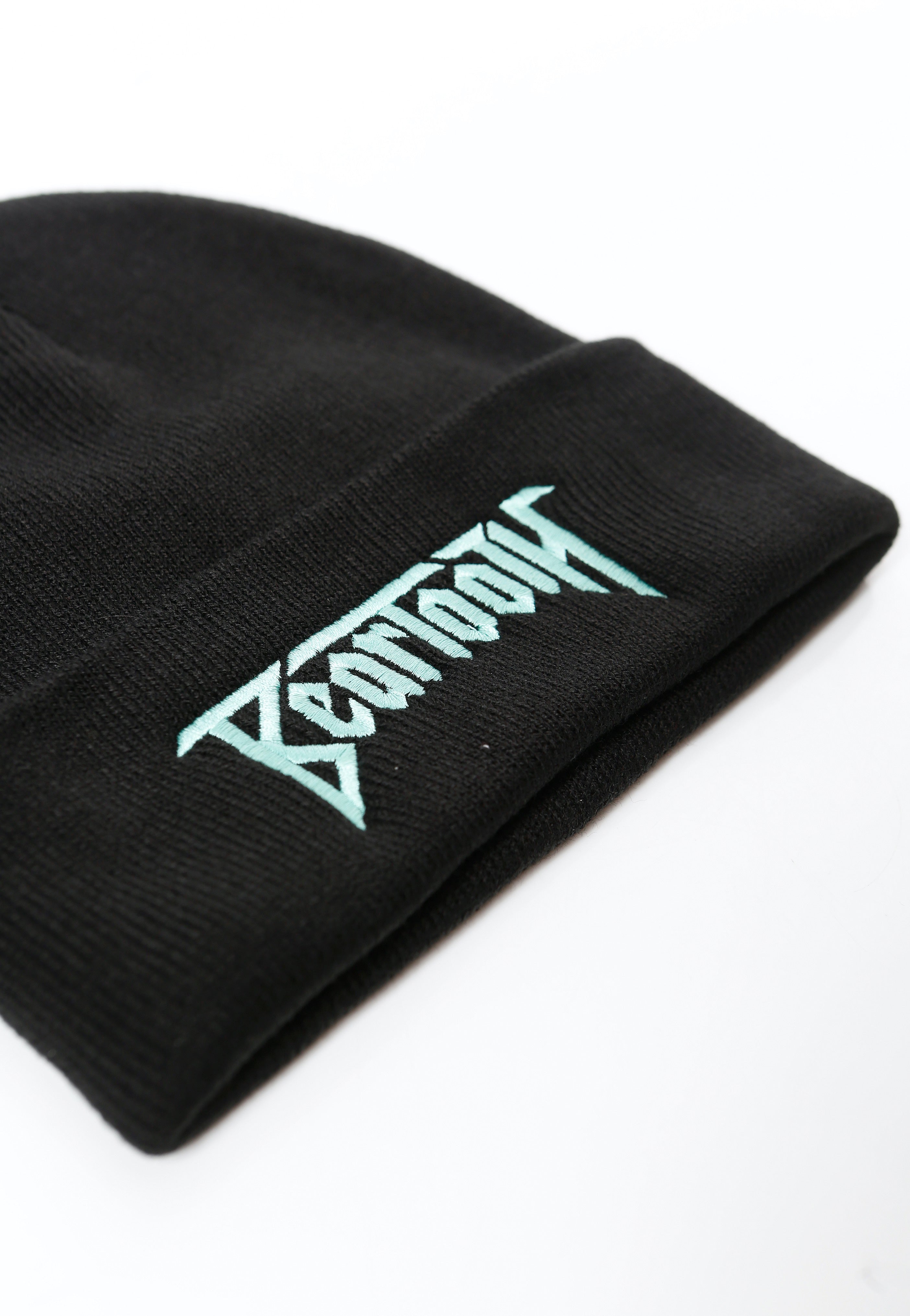 Beartooth - Riptide Logo - Beanie | Neutral-Image