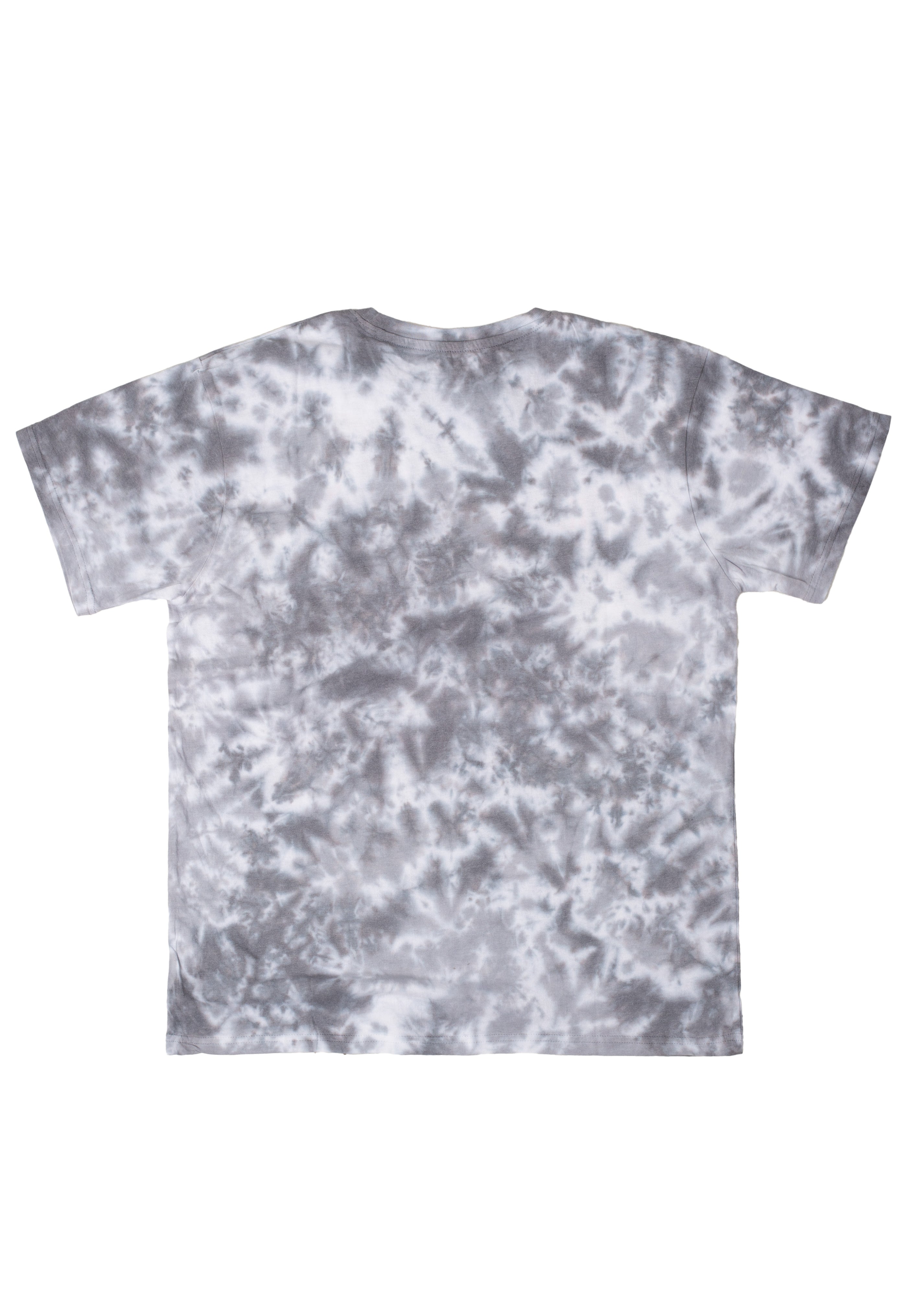 Twenty One Pilots - Torch Bearers Dip-Dye Grey - T-Shirt | Neutral-Image