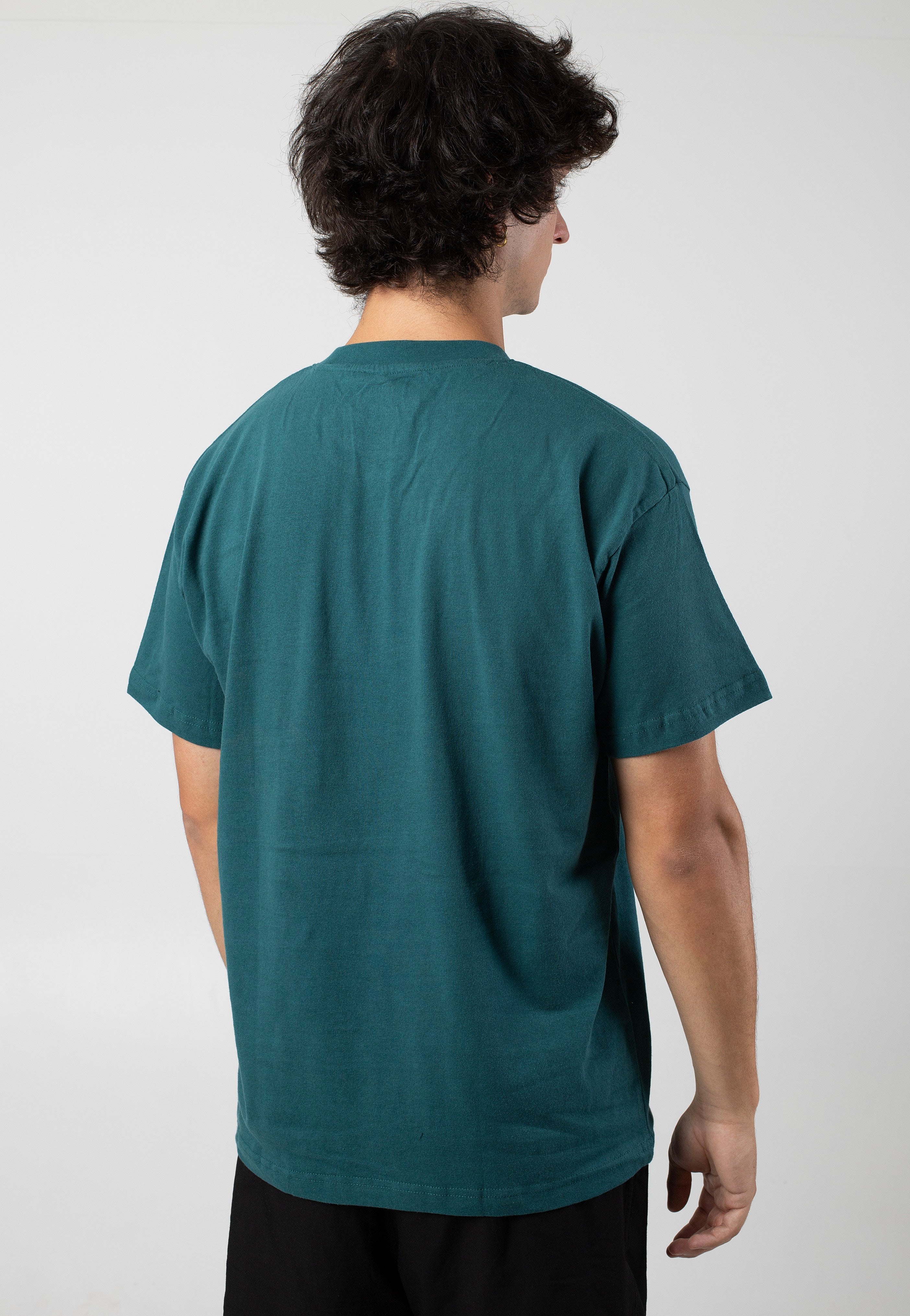 Volcom - Underfaced Evergreen - T-Shirt | Men-Image