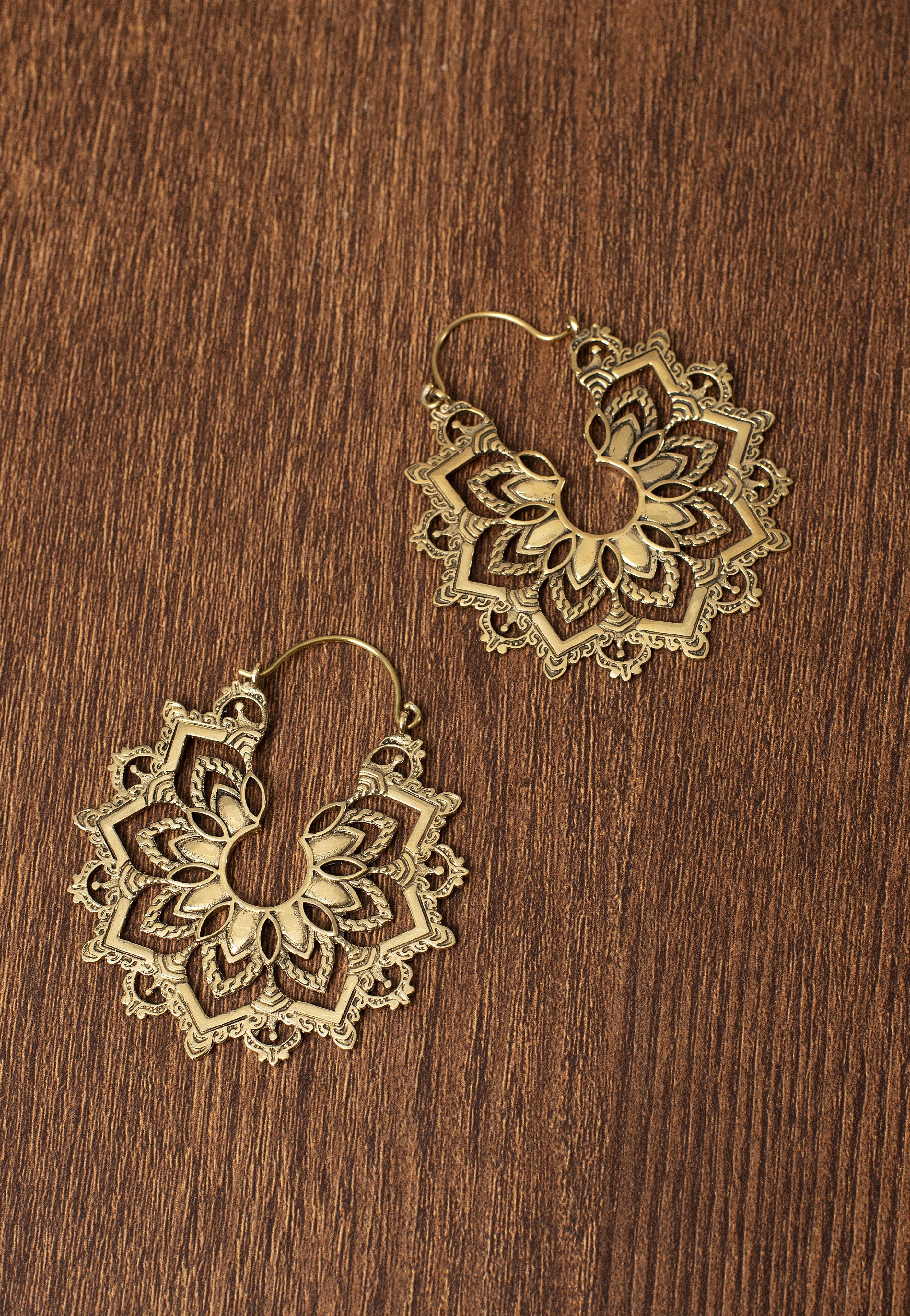 Wildcat - Golden Sunburst - Earrings | Neutral-Image