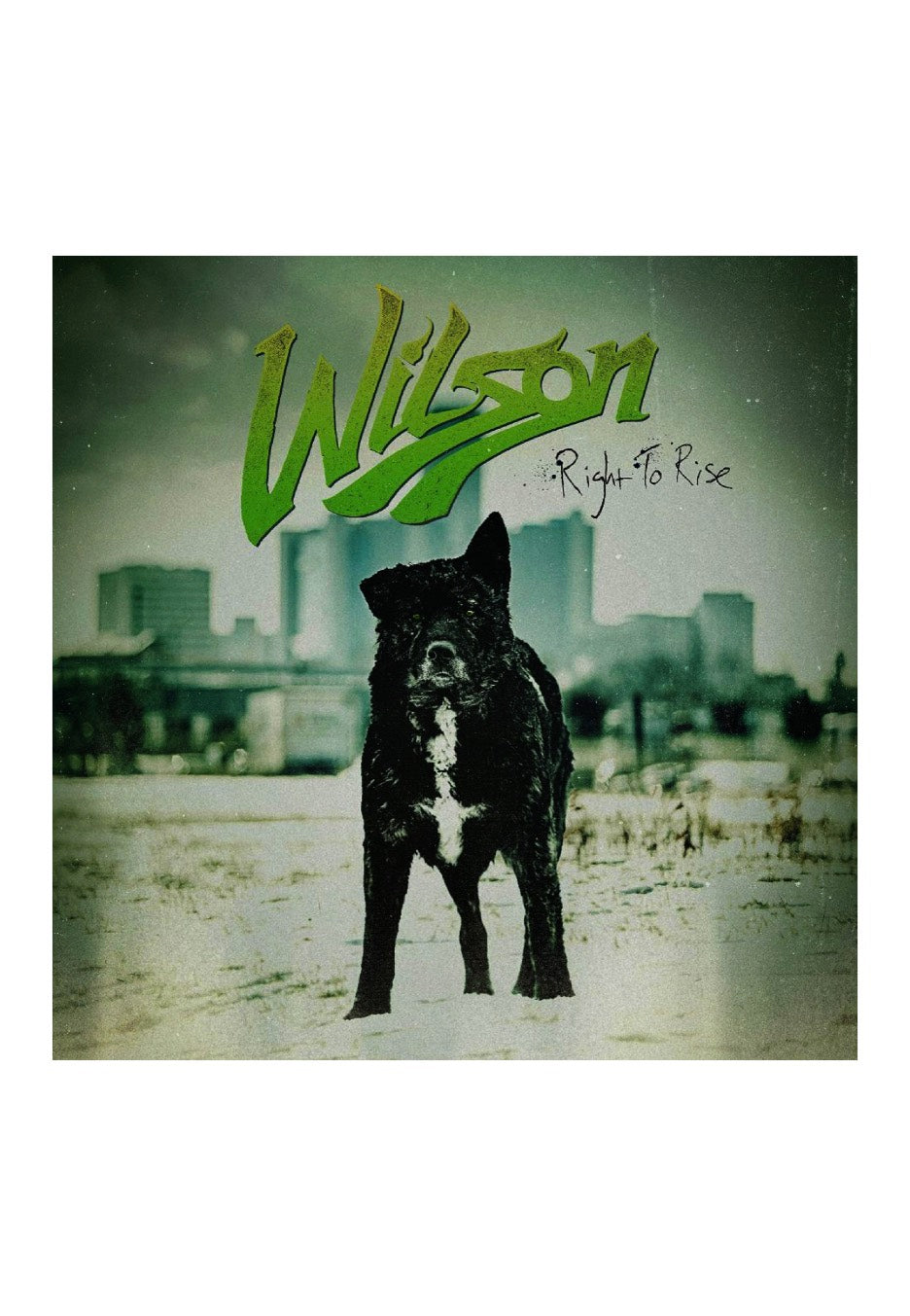 Wilson - Right To Rise - CD | Neutral-Image